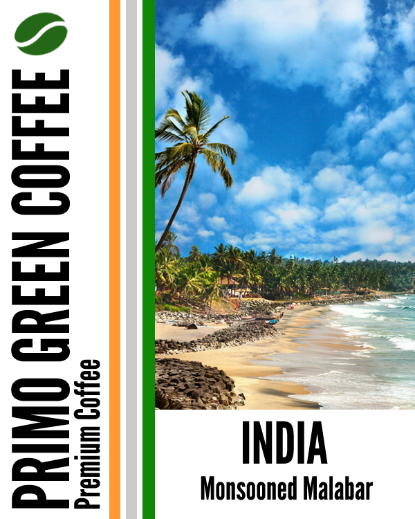 Green Coffee Beans India Monsooned Malabar